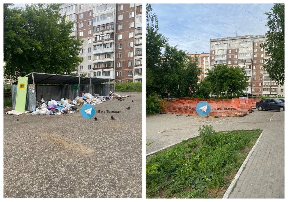 Фото: "Я из Томска"