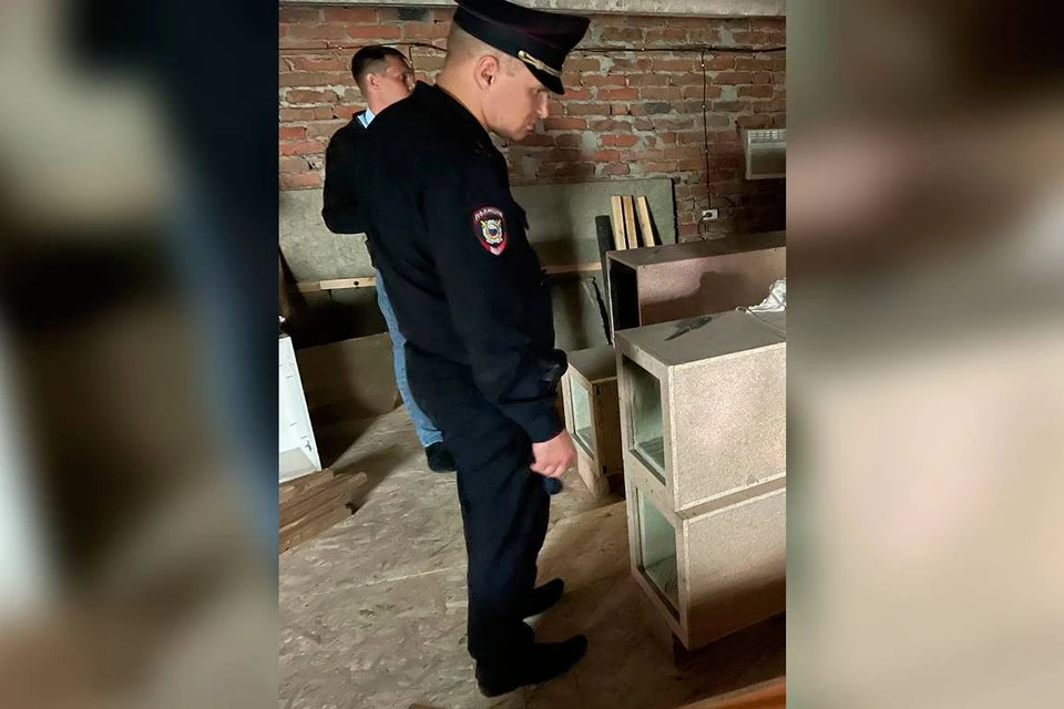 Нелегальную майнинговую ферму нашли в недостроенном доме в Саянске