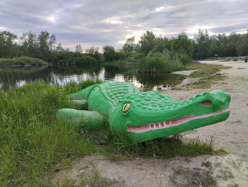 Нижегородцам не рекомендуют отдыхать на этих пляжах.