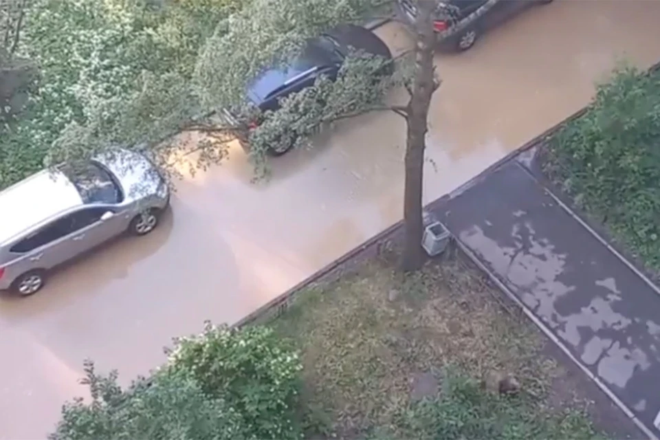 Будапештскую улице залило водой из прорванной трубы в Петербурге. Фото: vk.com/kupchinoask
