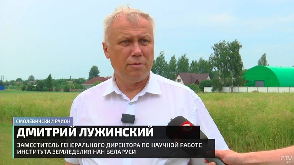 Дмитрий Лужинский назвал случившуюся в июне 2023-го засуху аномалией для Беларуси. Фото: кадр видео СТВ