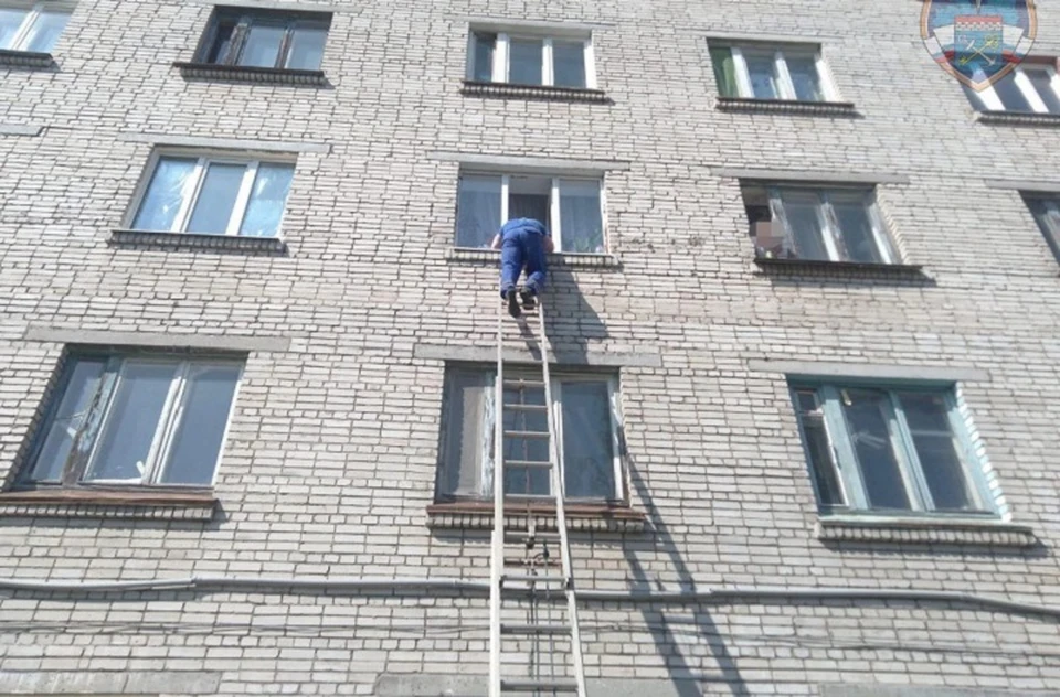 Спасатели пришли на помощь запертому в квартире маленькому ребенку в Ленобласти. Фото: t.me/acclenobl