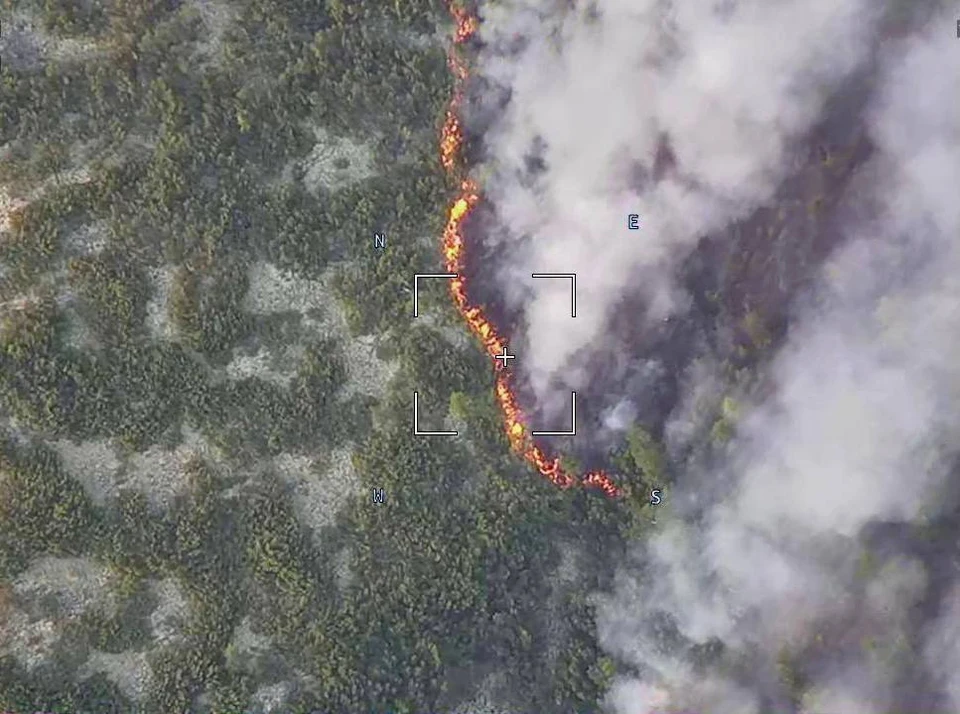 Места лесных пожаров осмотрел губернатор Магаданской области Фото: Сергей Носов