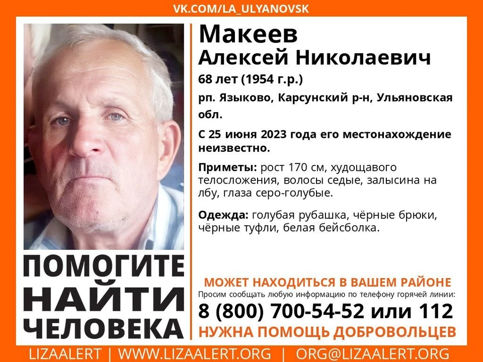 Фото соц сети "Лиза Алерт"