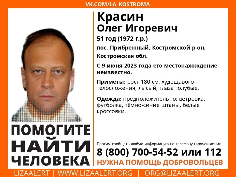 Фото: ДПСО "Лиза Алерт" Костромской области