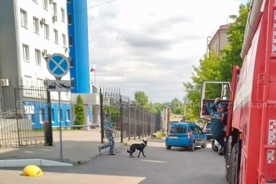Фото: пресс-служба Брянской городской администрации.