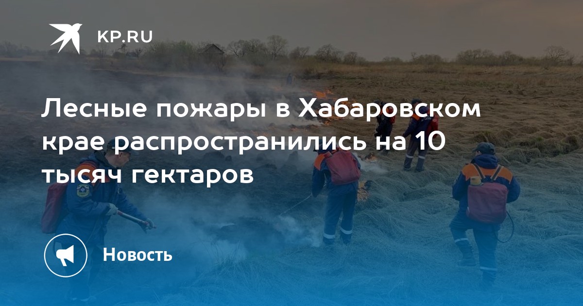 Карта лесных пожаров хабаровский край