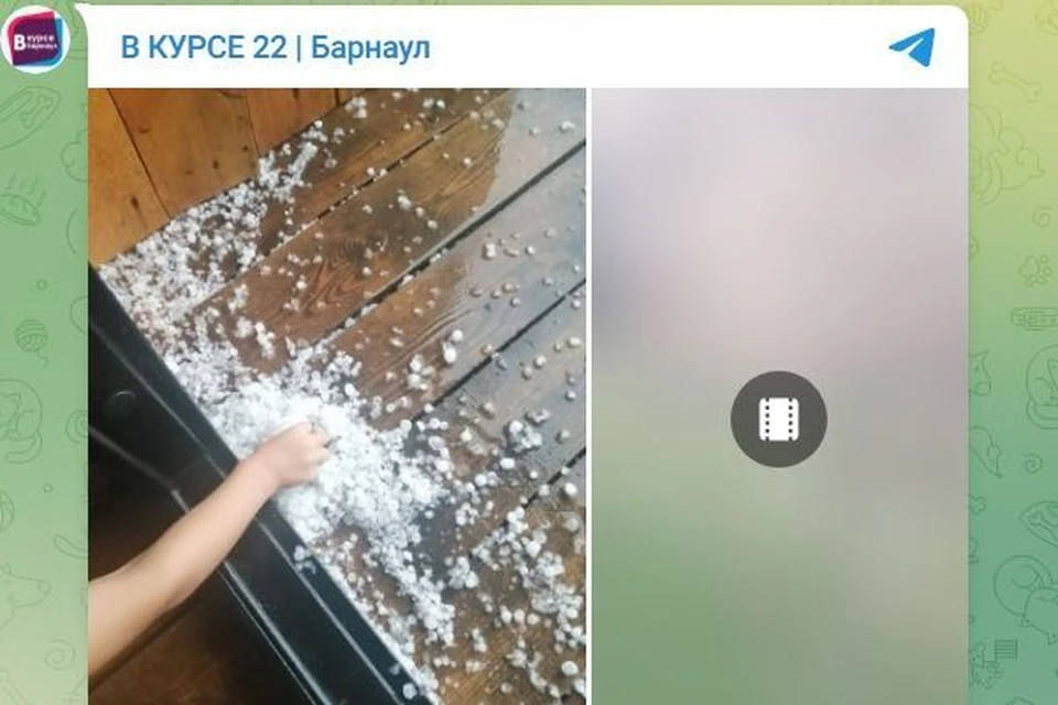 Фото: скриншот с паблика «В курсе 22»