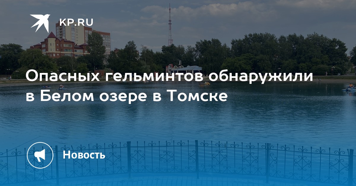 Белое озеро томск презентация