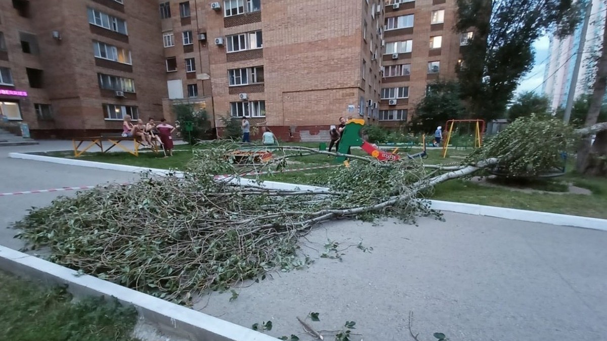 «Полз от карусели и даже не плакал»: очевидцы рассказали, как тополь рухнул  на 9-летнего мальчика - KP.RU