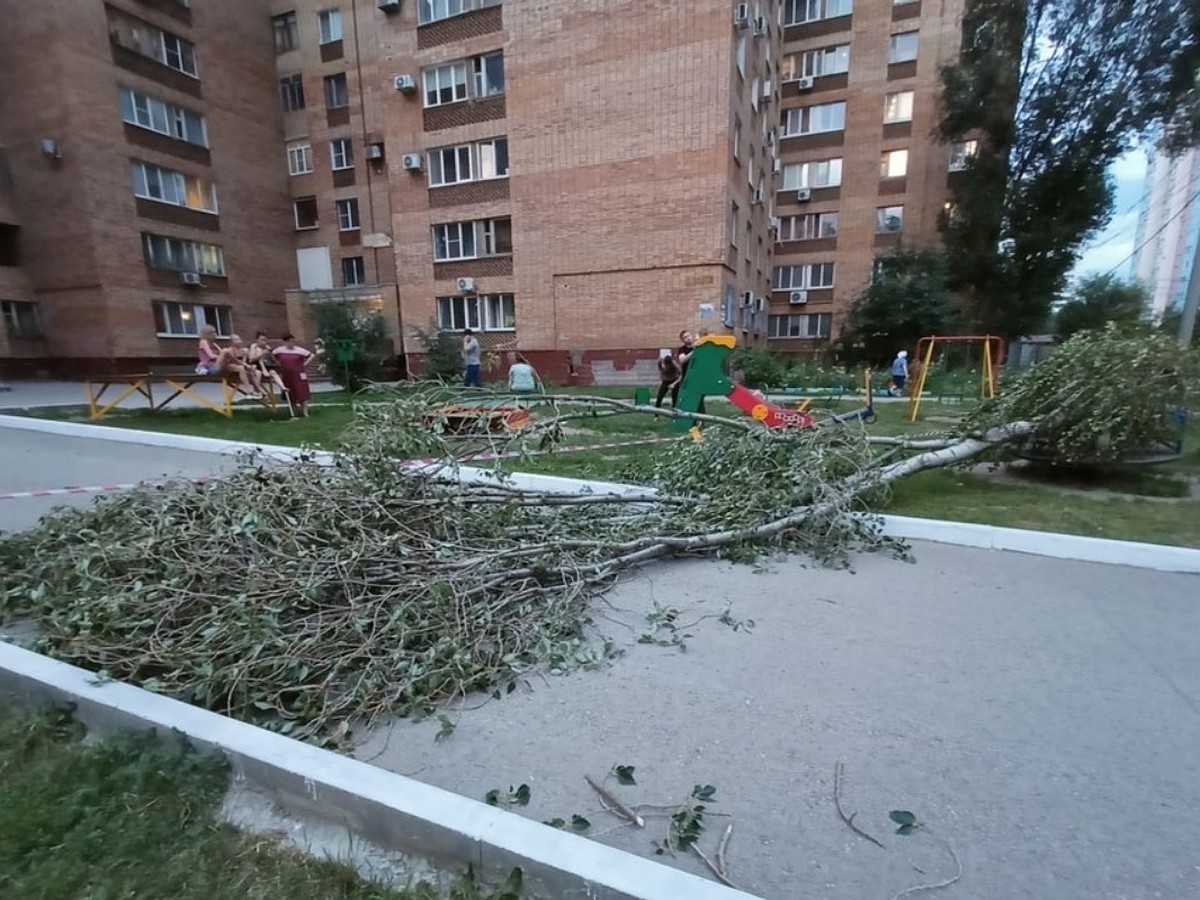 Полз от карусели и даже не плакал»: очевидцы рассказали, как тополь рухнул  на 9-летнего мальчика - KP.RU