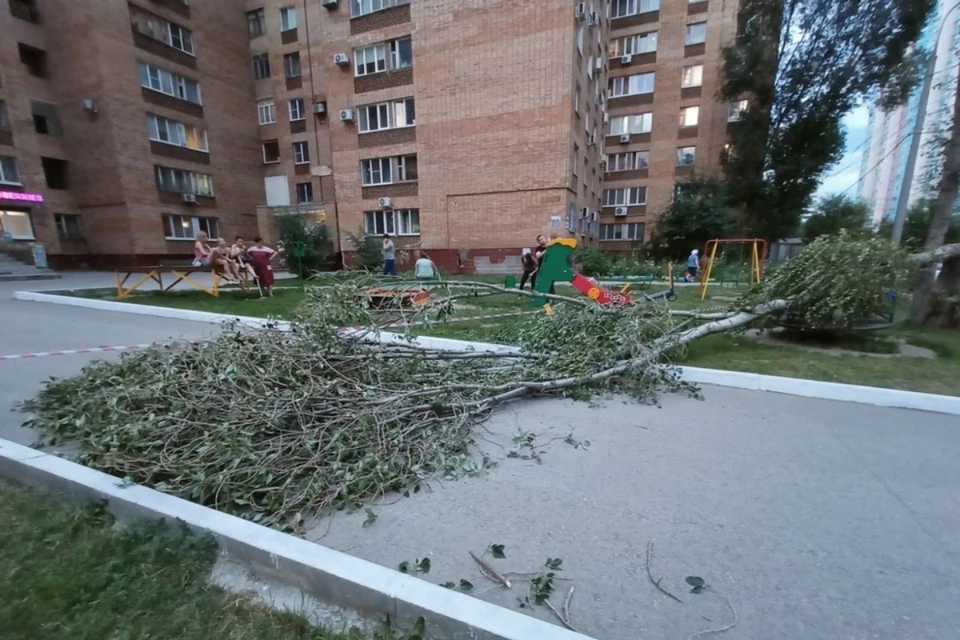 Дерево рухнуло прямо на карусель, где катались дети. Фото: СУ СКР по Самарской области.