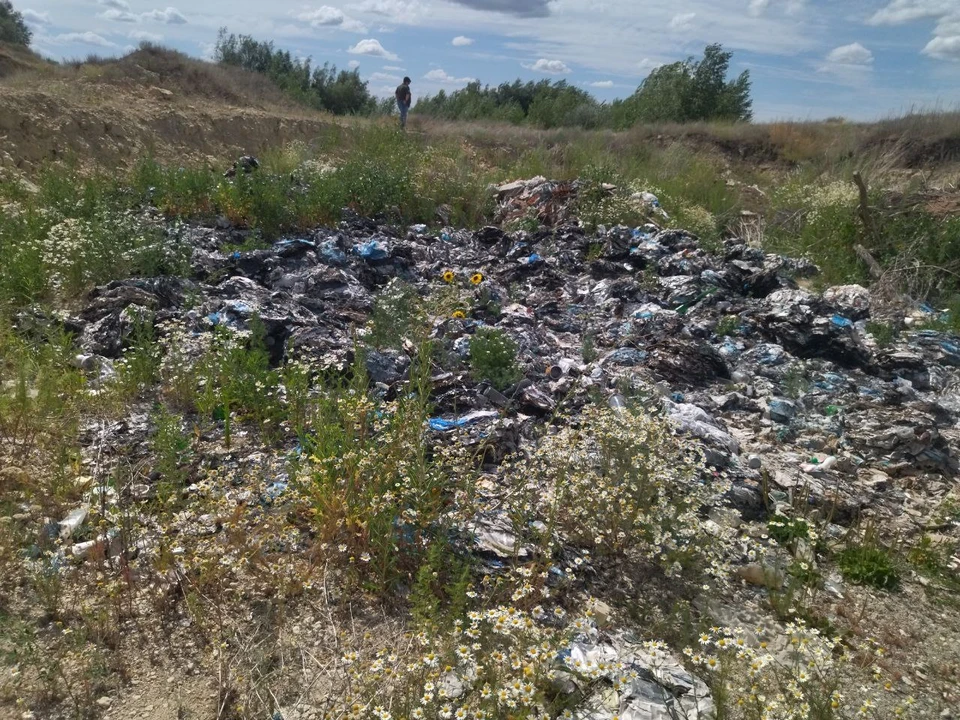 Рыбаки и общественники нашли шприцы, бахилы, лекарственные бутылки, бахилы и строительный мусор