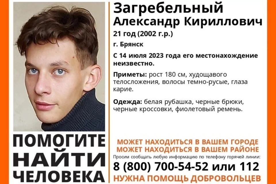 Фото: поисковый отряд "Лиза Алерт".