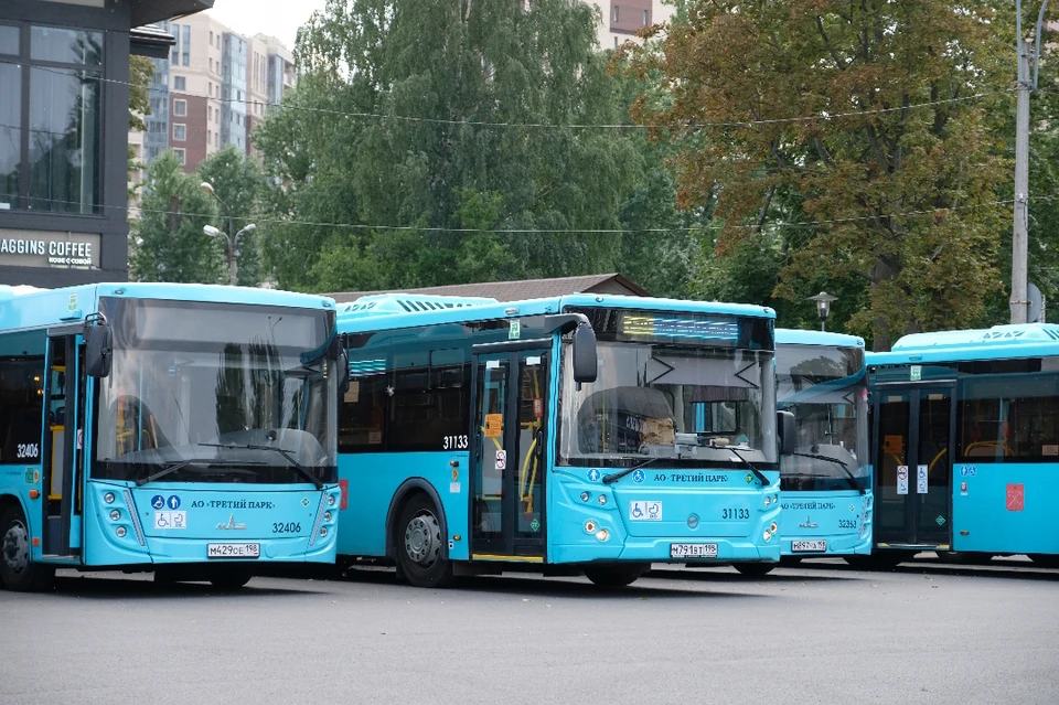 Кажется, лазурные автобусы в Петербурге больше не будут гореть.