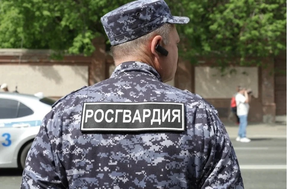 Совфед РФ одобрил закон о праве Росгвардии иметь на вооружении тяжелую технику