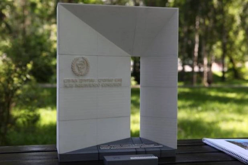 Памятникам героям-медикам в Иркутске начнут монтировать 15 августа