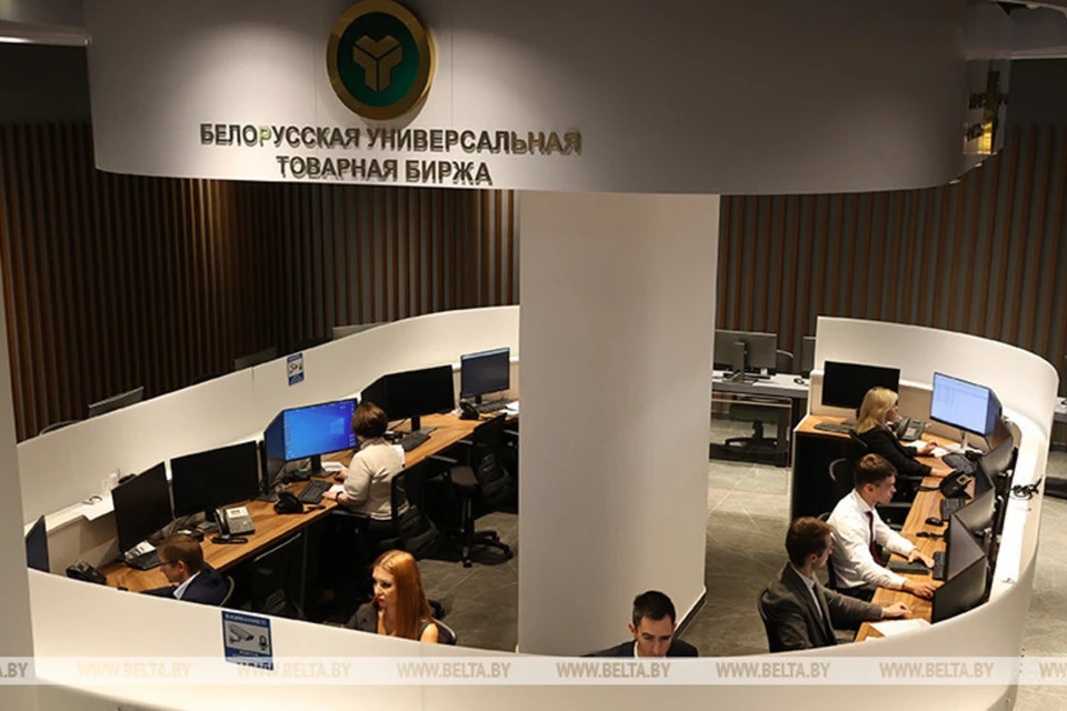 Первые 7 тонн сосновой живицы продали на товарной бирже Беларуси. Фото: БелТА
