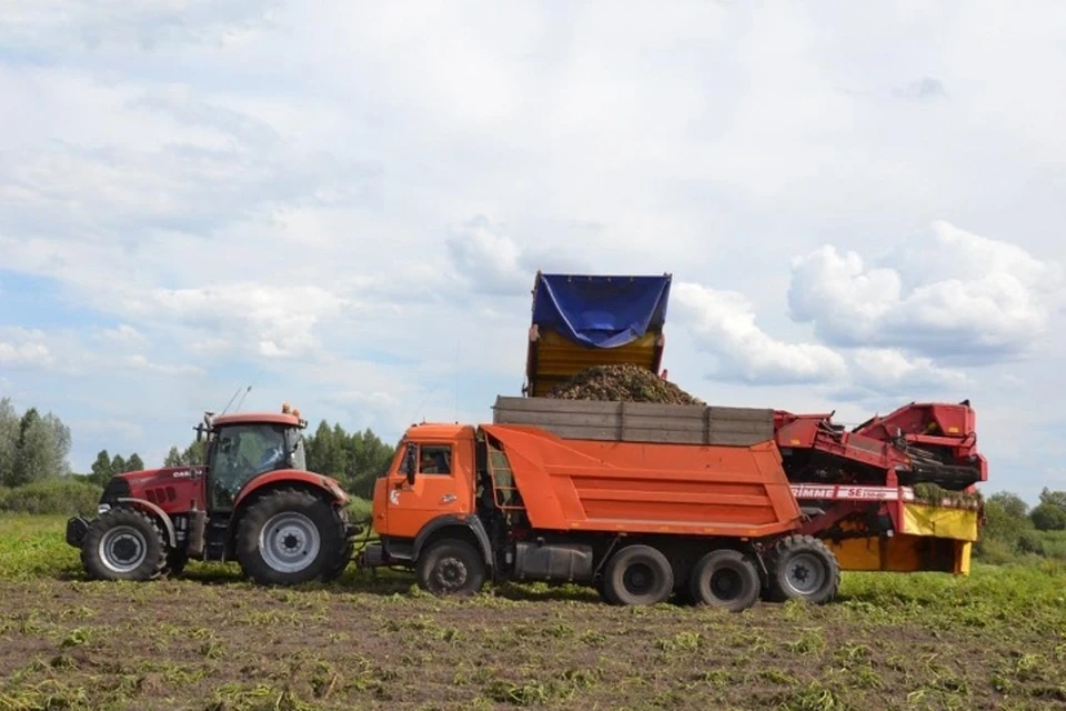 Фото: пресс-служба правительства Брянской области.