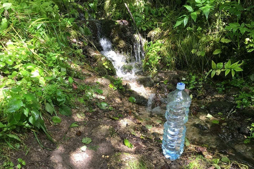 По словам ростовчан, вода в роднике стала грязной.