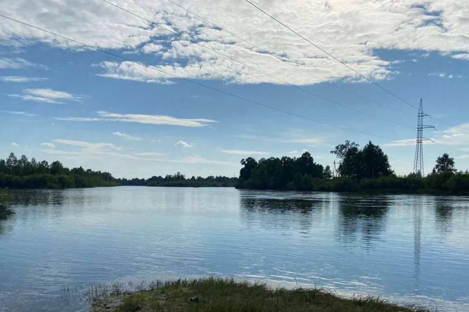 Дети купались на водоеме без присмотра взрослых. Фото: СУ СК Иркутской области.