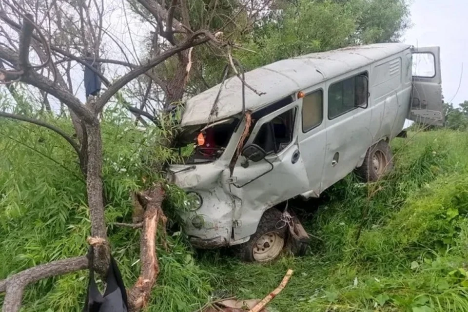 «УАЗ» с ребенком внутри вылетел с дороги в ЕАО Фото: УГИБДД по ЕАО