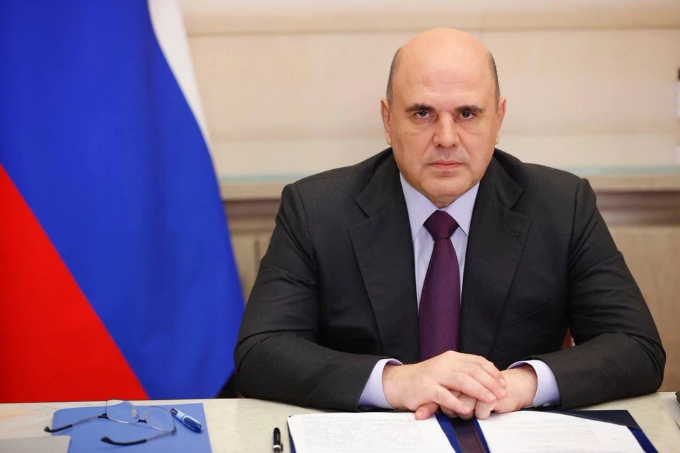 Мишустин заинтересовался проектом о комфортной городской среде для собак