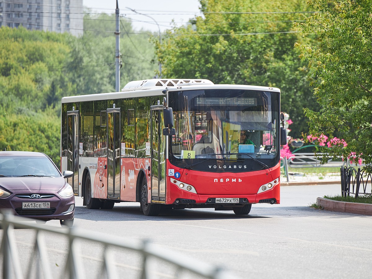 В Перми за полгода общественный транспорт перевез 114,7 млн пассажиров -  KP.RU