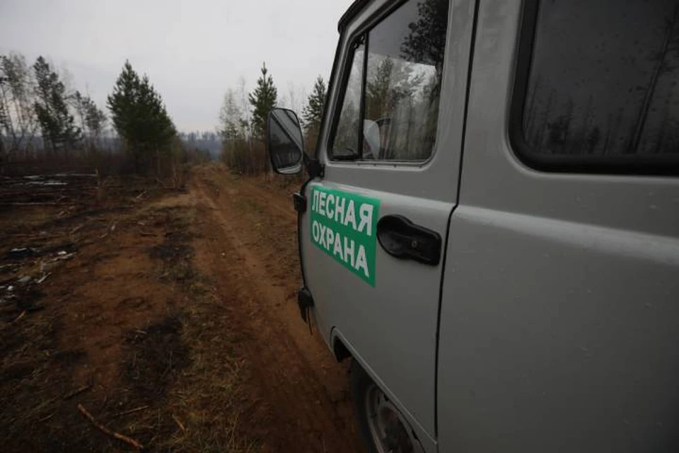За сутки в Иркутской области ликвидировано три лесных пожара