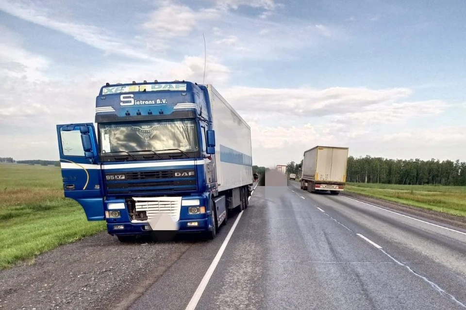 В Чановском районе Новосибирской области грузовой автомобиль DAF задавил 55-летнего пешехода. Фото: Госавтоинспекция по НСО