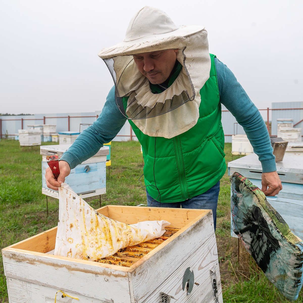 Как отличить качественный мед от подделки и всегда ли жидкий продукт лучше  засахаренного, рассказал ростовский эксперт - KP.RU