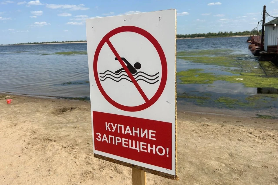 Лишь на одном пляже в Волгограде нет таких табличек.
