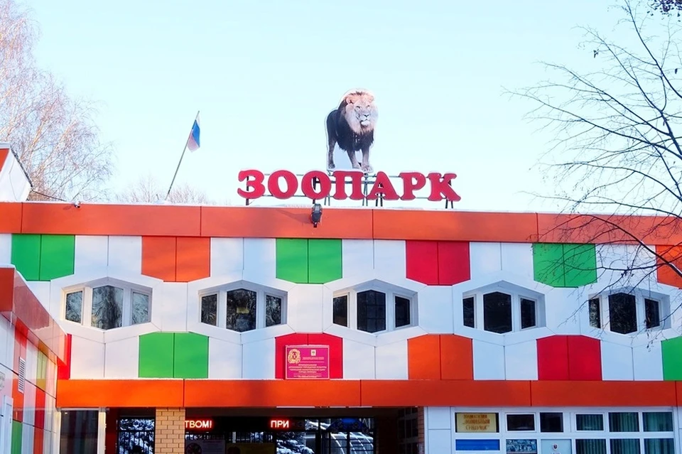 Жителей Липецка призывают делиться овощами и фруктами с животными зоопарка