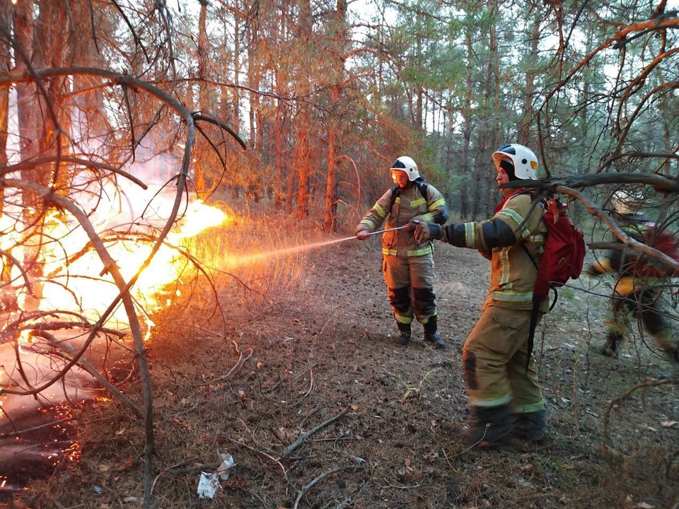 Пожарные продолжают бороться с огнем.