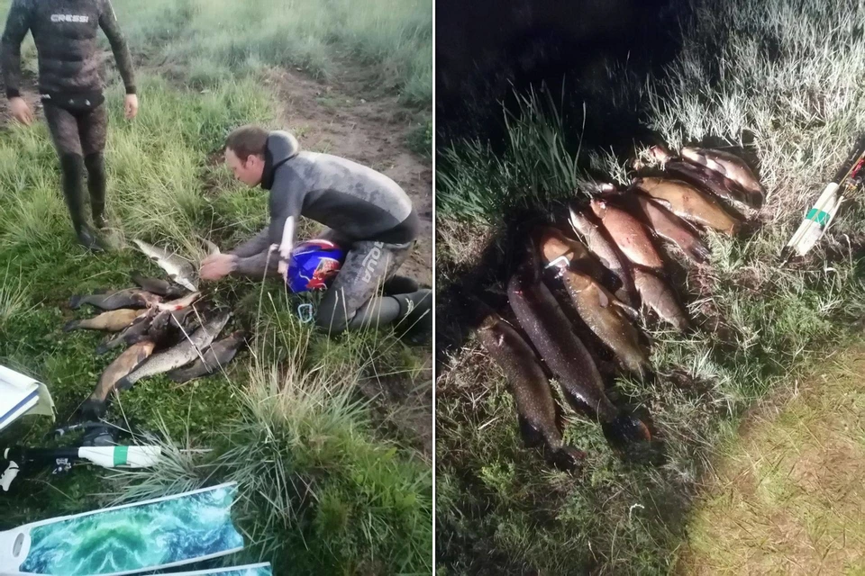 В Хакасии на территории заповедника поймали браконьеров. Фото: заповедник «Хакасский»