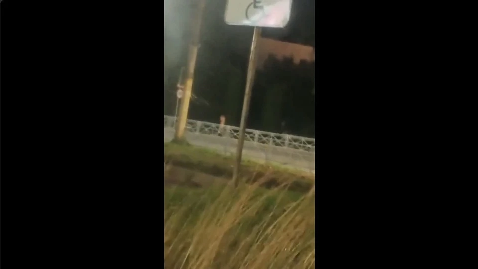 Фото: скриншот видео