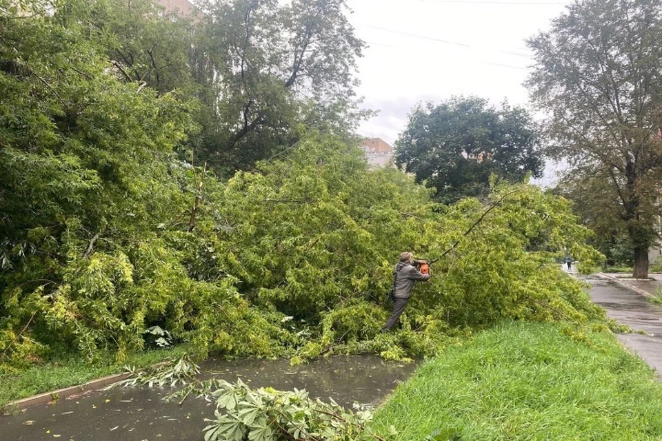 В Ярославле за сутки выпала месячная норма осадков