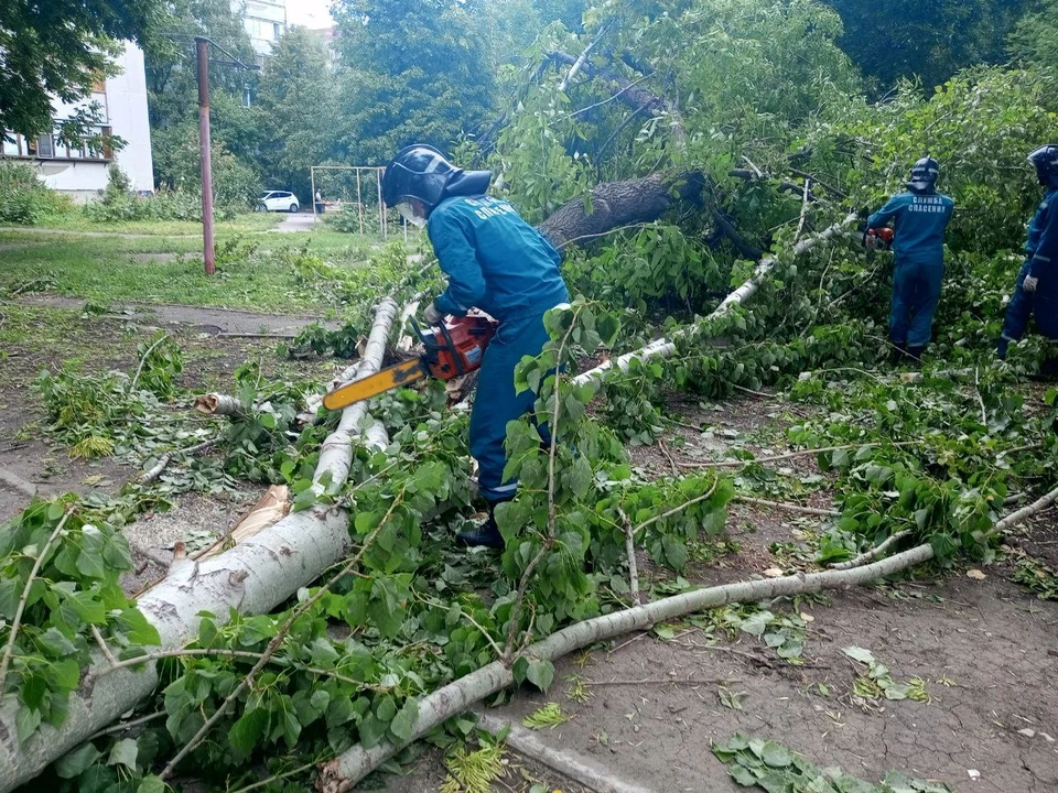 Фото администрация Ульяновска