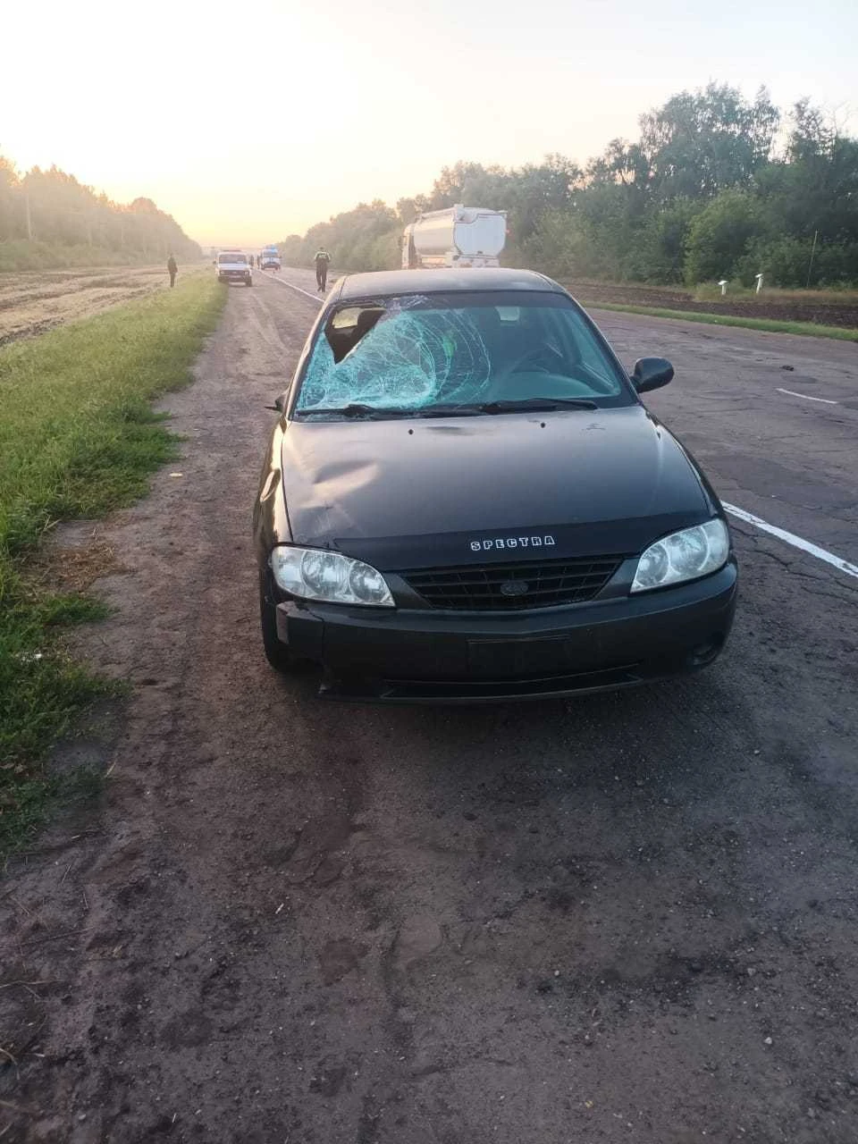 Водитель не увидел пешехода