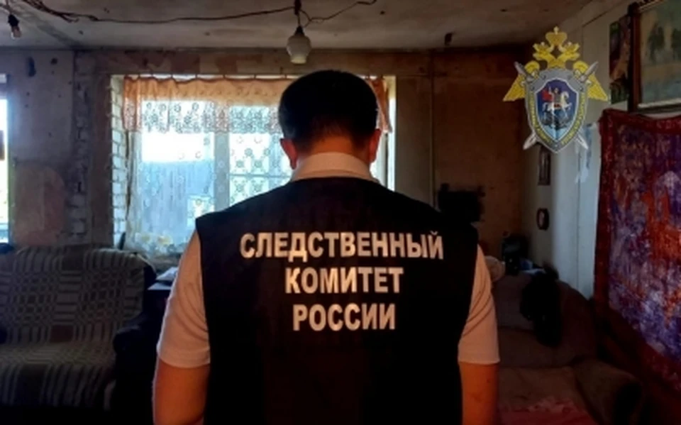 Фото: пресс-служба СУ СК России по Костромской области