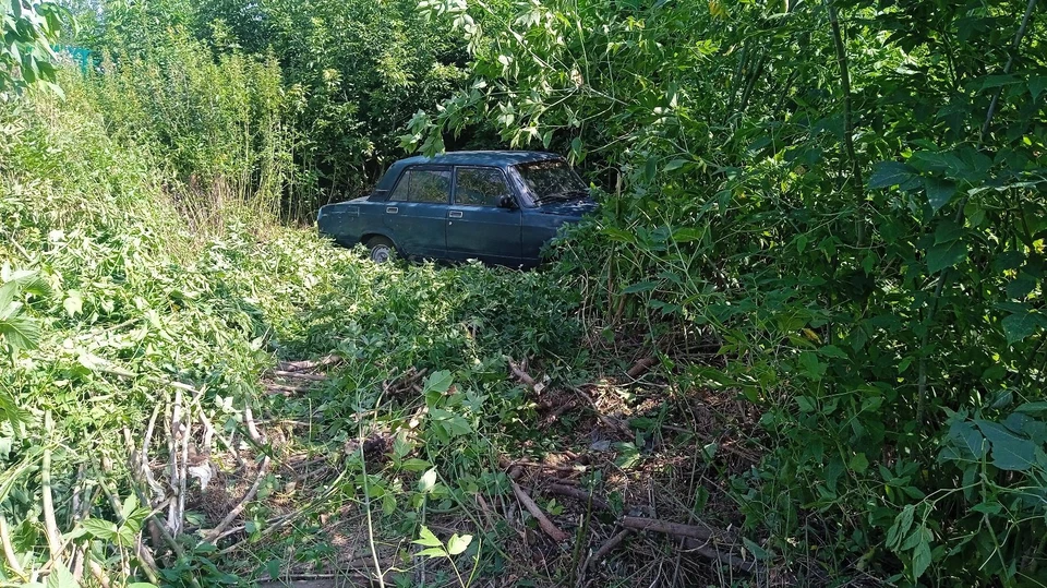 Водитель выскочил с дороги
