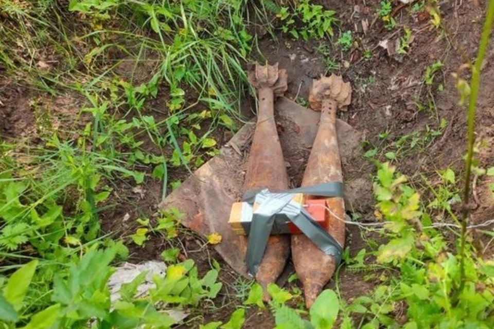 Снаряды обезвредили на полигоне. Фото: Управление Росгвардии по Алтайскому краю