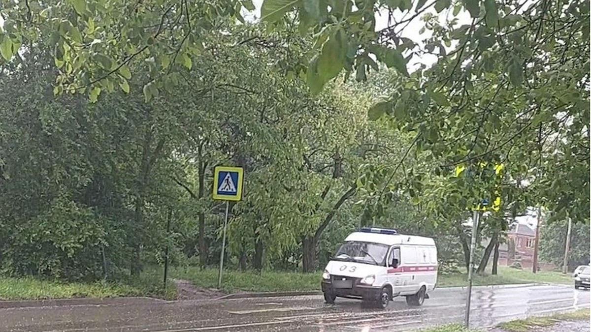 В Ростове из-за сильного ливня дерево упало на машину с водителем - KP.RU