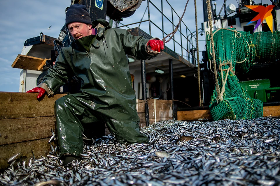 Дары моря выработаны мурманскими береговыми рыбоперерабатывающими предприятиями и судами на промысле.