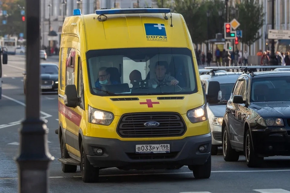 Новорожденного мальчика нашли в мусорном пакете в садоводстве под Петербургом.