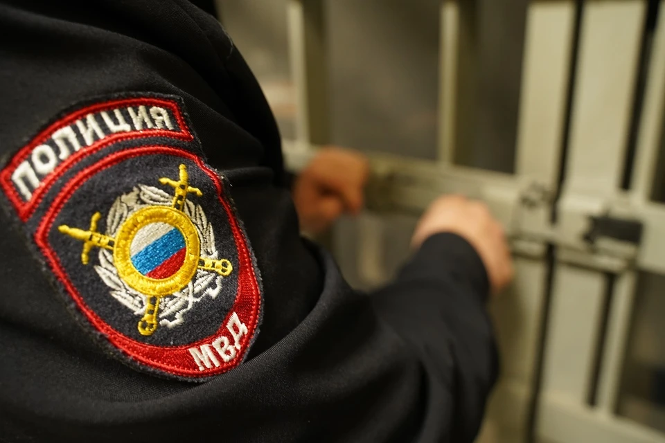 Мужчина уже был судим за угон