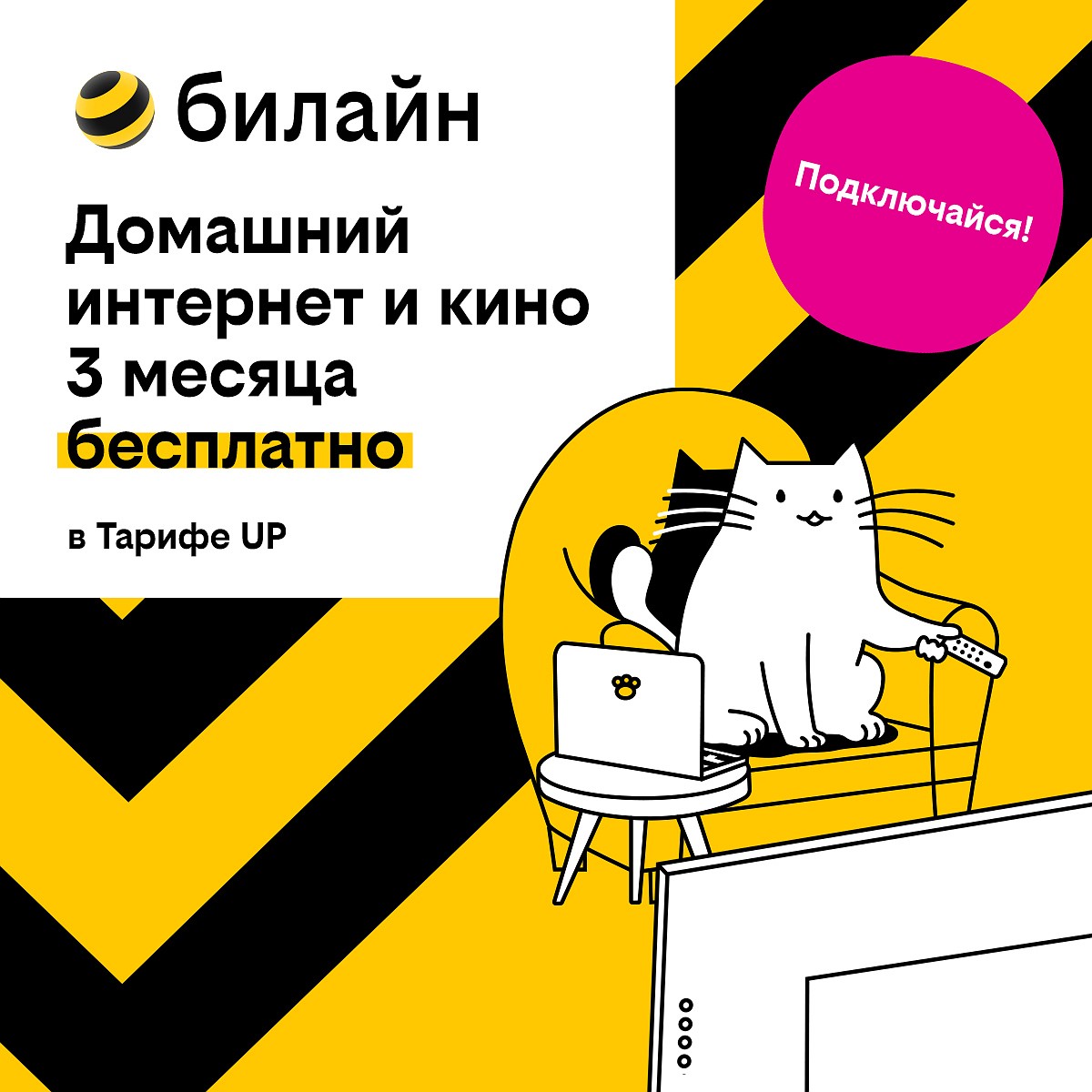 Базя, Пинг и Пуш сделают первые 3 месяца домашнего интернета с кинотеатром  и цифровым ТВ бесплатными - KP.RU