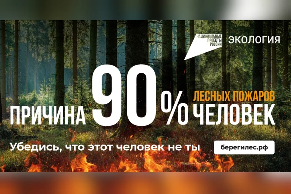 Каждый год в России пожар проходит площадь 100 тысяч гектаров леса. Фото: берегилес.рф