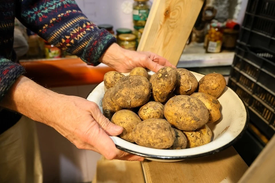 Овощи с нитратами и поддельную молочную продукцию нашли в Хабаровском крае