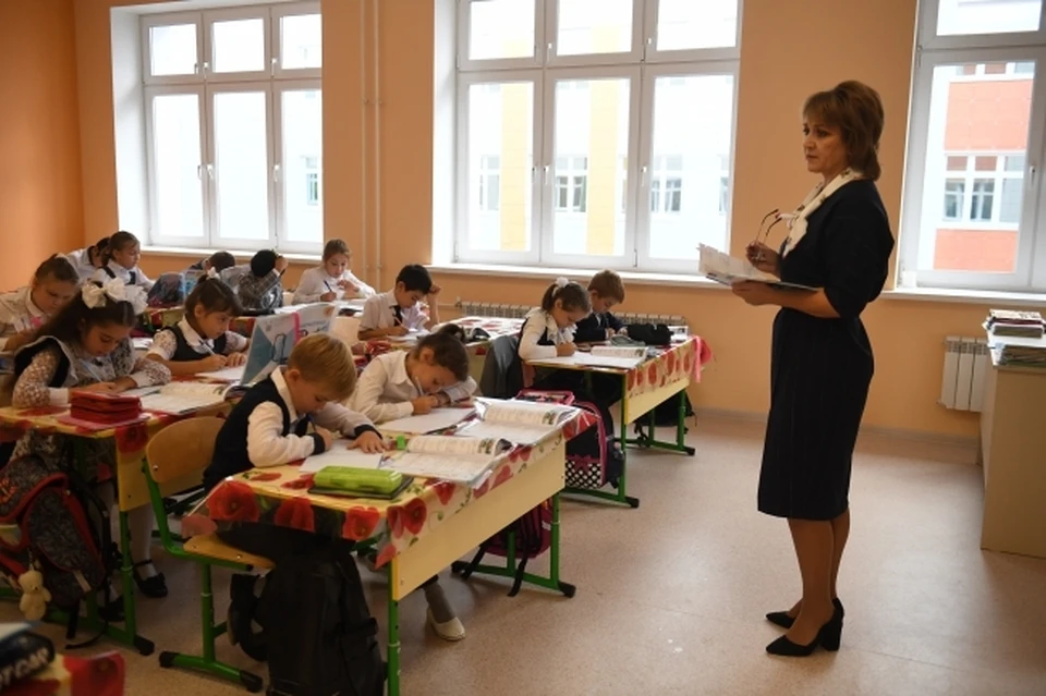 Этим вопросом в регионе занимаются системно